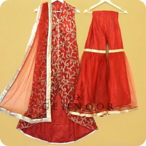 VASYA RED AND GOLD INDO WESTERN DRESS